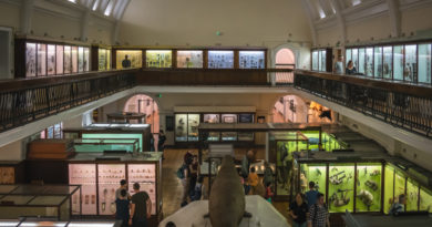 South London’s much-loved Horniman Museum will soon start opening late
